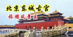 激情综合咪咪爱中国北京-东城古宫旅游风景区